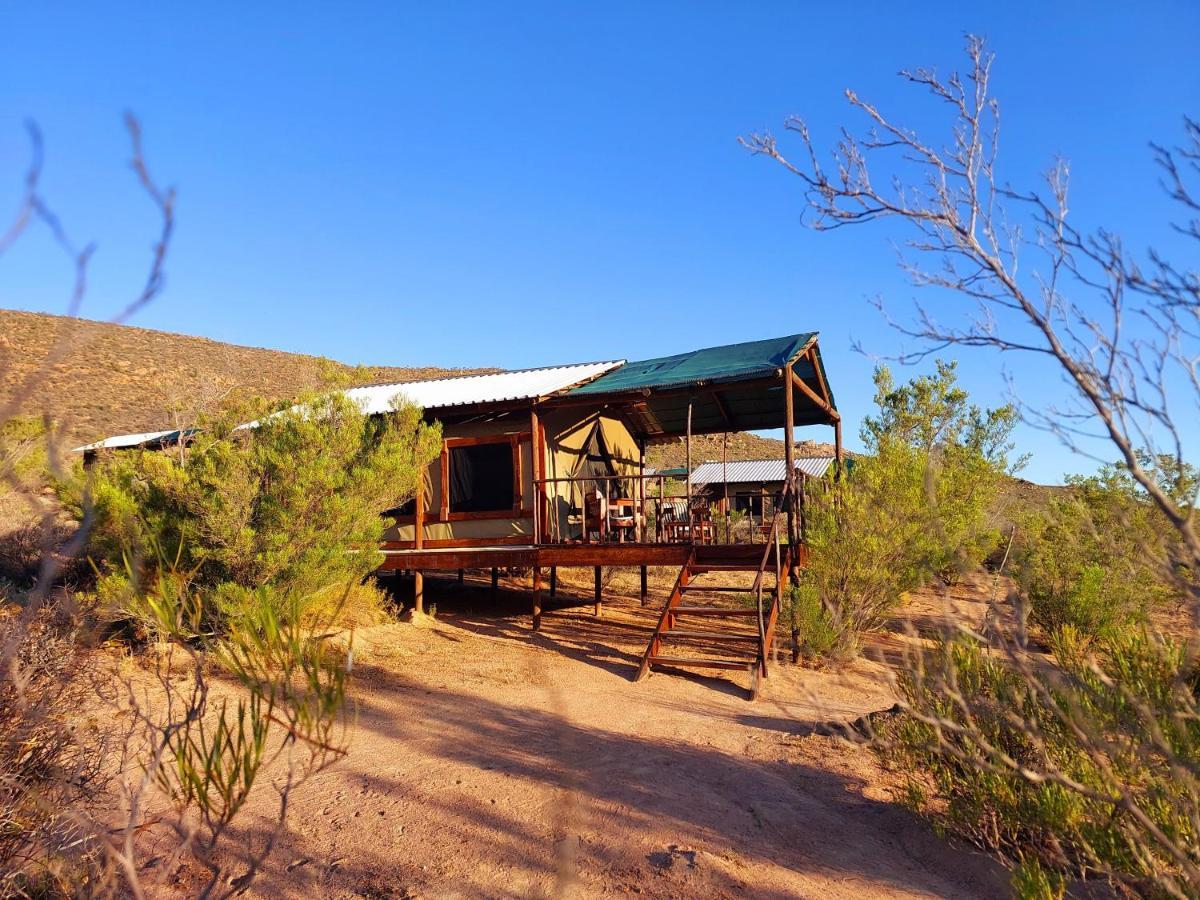 Agama Tented Camp Garies Exterior foto