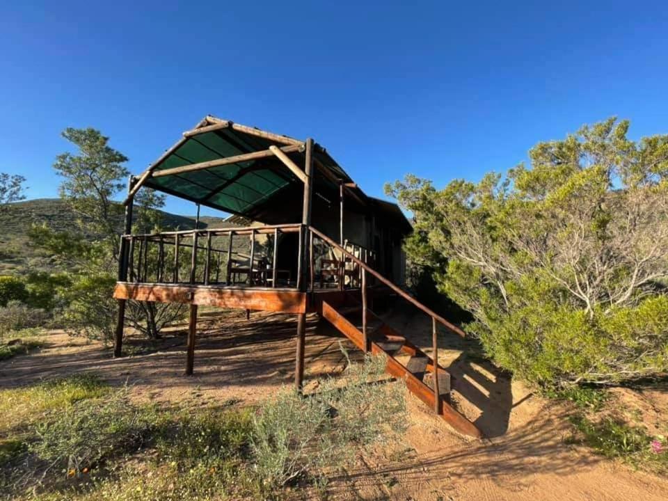 Agama Tented Camp Garies Exterior foto