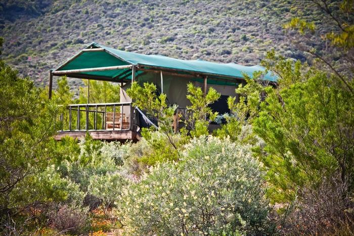 Agama Tented Camp Garies Exterior foto