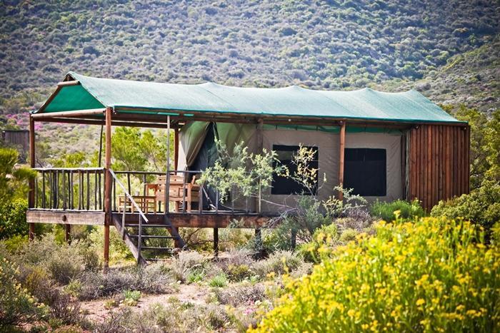 Agama Tented Camp Garies Exterior foto